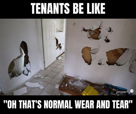 rent meme|The Most Relatable Memes for Struggling Renters That’ll